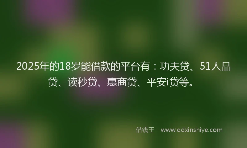 2025年的18岁能借款的平台有：功夫贷、51人品贷、读秒贷、惠商贷、平安i贷等。