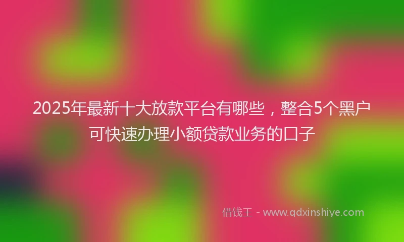 2025年最新十大放款平台有哪些，整合5个黑户可快速办理小额贷款业务的口子