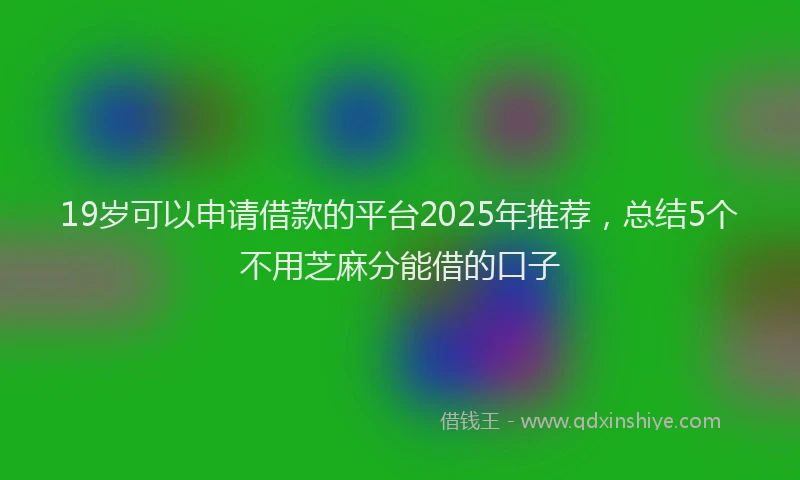 19岁可以申请借款的平台2025年推荐，总结5个不用芝麻分能借的口子
