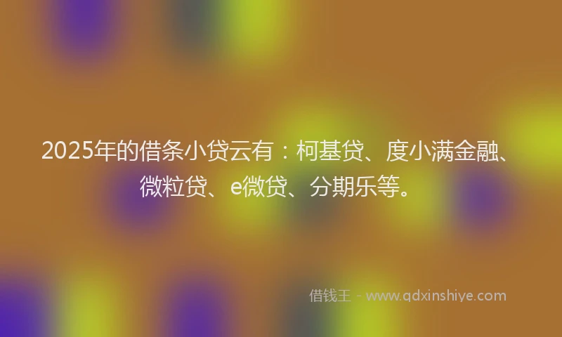 2025年的借条小贷云有：柯基贷、度小满金融、微粒贷、e微贷、分期乐等。