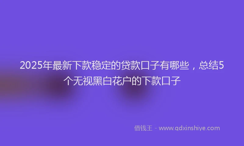 2025年最新下款稳定的贷款口子有哪些，总结5个无视黑白花户的下款口子