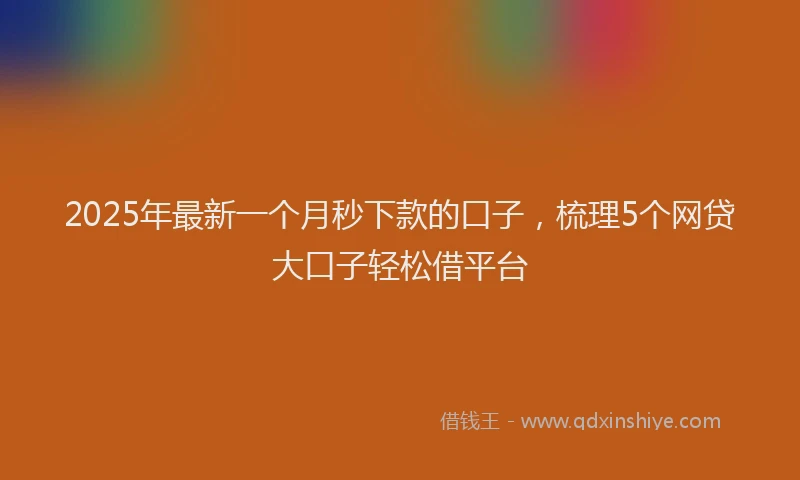 2025年最新一个月秒下款的口子，梳理5个网贷大口子轻松借平台