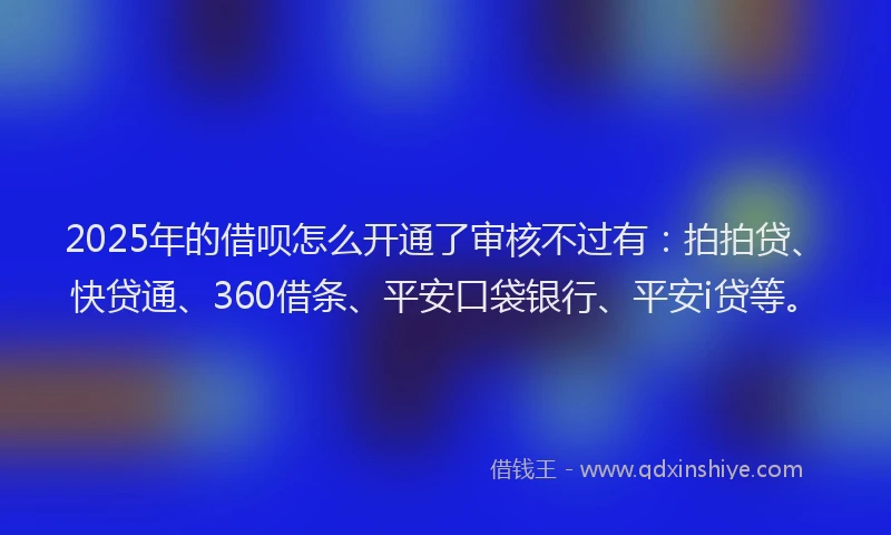 2025年的借呗怎么开通了审核不过有：拍拍贷、快贷通、360借条、平安口袋银行、平安i贷等。