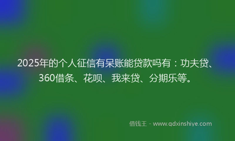 2025年的个人征信有呆账能贷款吗有：功夫贷、360借条、花呗、我来贷、分期乐等。
