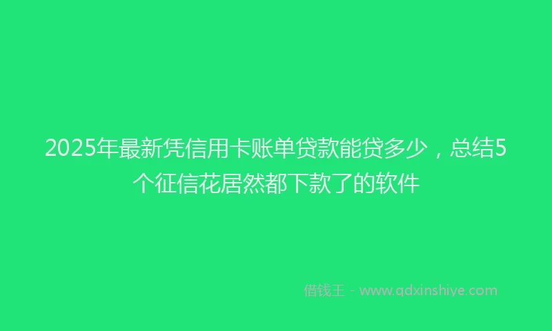 2025年最新凭信用卡账单贷款能贷多少，总结5个征信花居然都下款了的软件