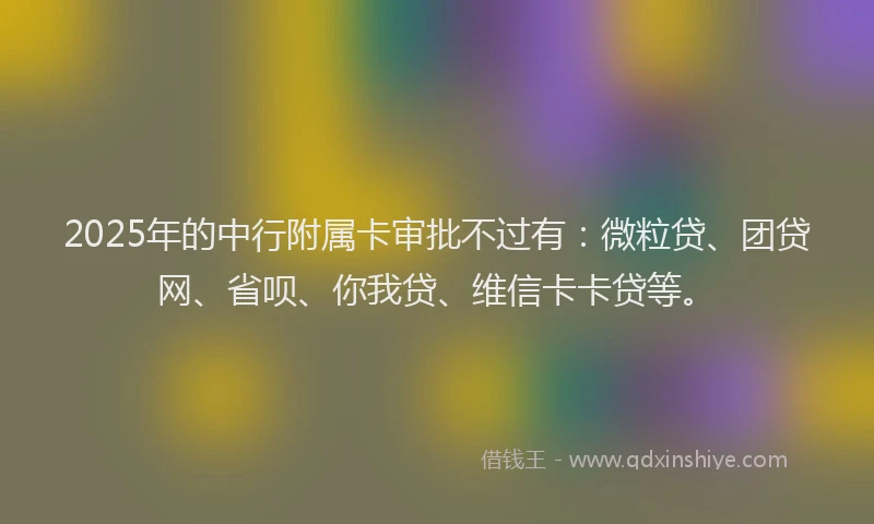 2025年的中行附属卡审批不过有：微粒贷、团贷网、省呗、你我贷、维信卡卡贷等。