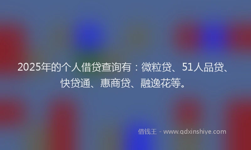 2025年的个人借贷查询有：微粒贷、51人品贷、快贷通、惠商贷、融逸花等。