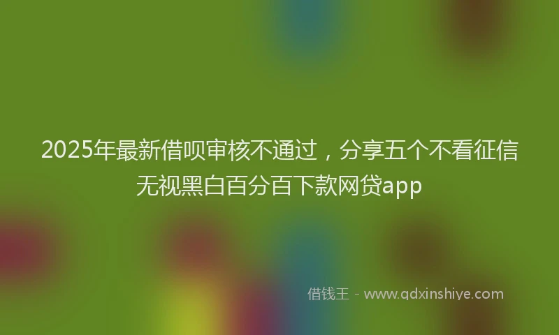 2025年最新借呗审核不通过，分享五个不看征信无视黑白百分百下款网贷app