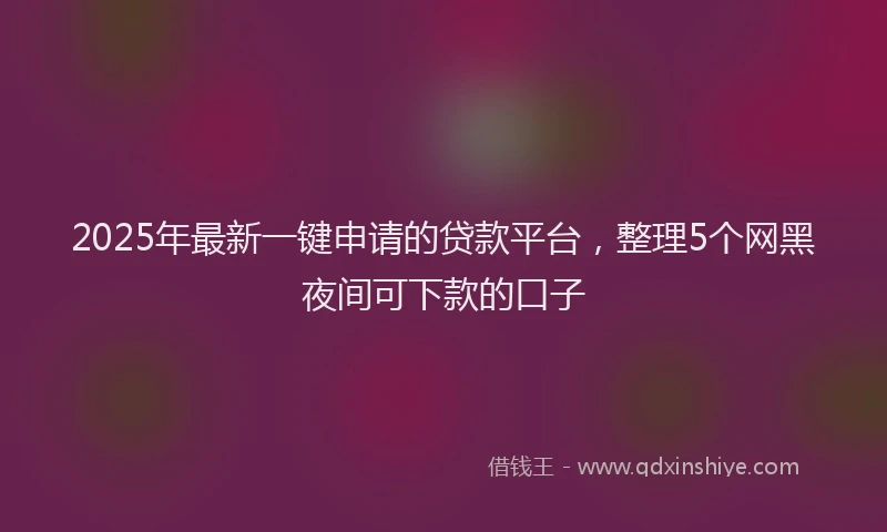 2025年最新一键申请的贷款平台，整理5个网黑夜间可下款的口子