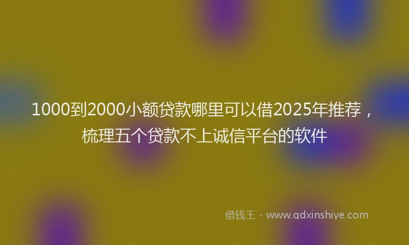 1000到2000小额贷款哪里可以借2025年推荐，梳理五个贷款不上诚信平台的软件