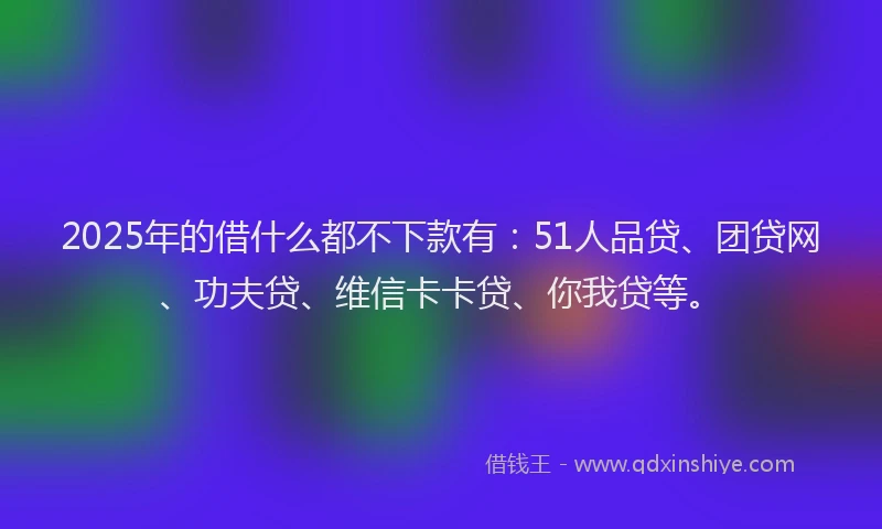 2025年的借什么都不下款有：51人品贷、团贷网、功夫贷、维信卡卡贷、你我贷等。