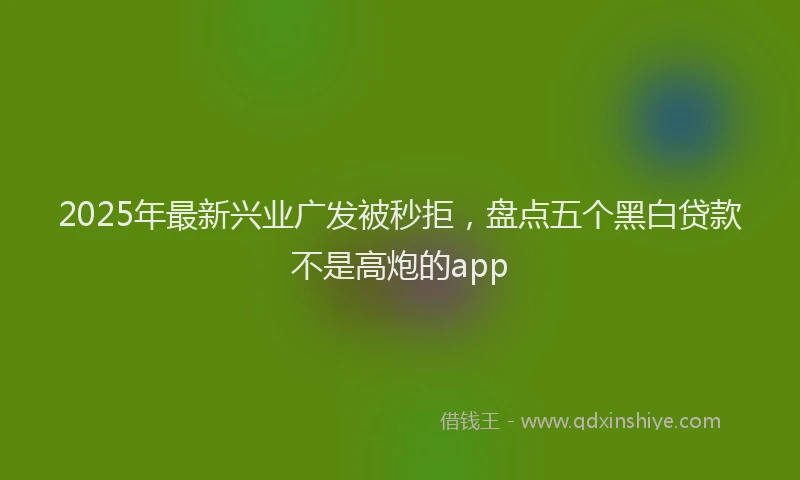 2025年最新兴业广发被秒拒，盘点五个黑白贷款不是高炮的app