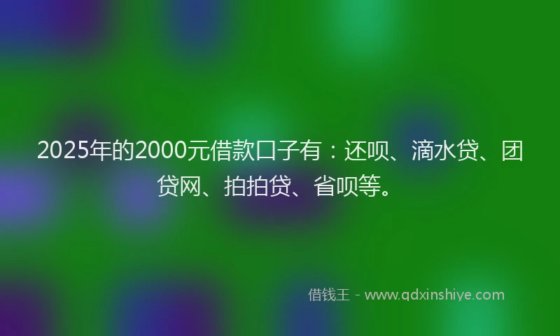 2025年的2000元借款口子有：还呗、滴水贷、团贷网、拍拍贷、省呗等。
