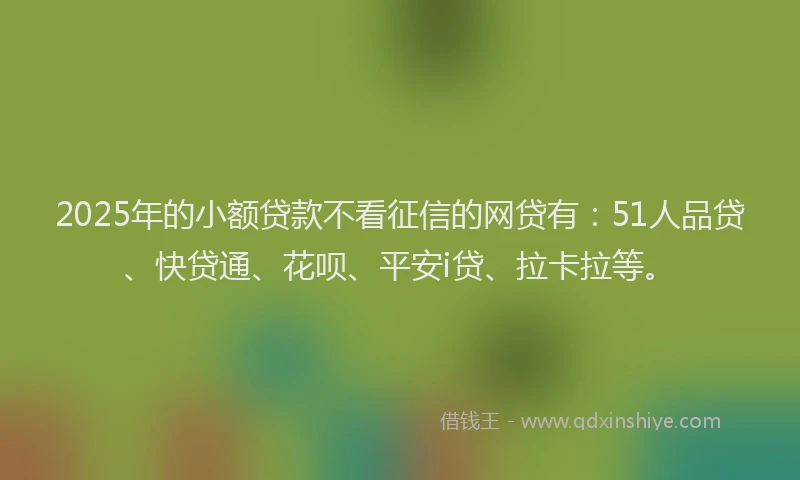 2025年的小额贷款不看征信的网贷有：51人品贷、快贷通、花呗、平安i贷、拉卡拉等。