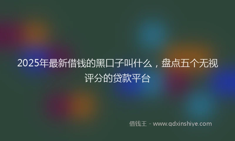 2025年最新借钱的黑口子叫什么，盘点五个无视评分的贷款平台