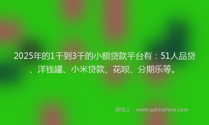 2025年的1千到3千的小额贷款平台有：51人品贷、洋钱罐、小米贷款、花呗、分期乐等。