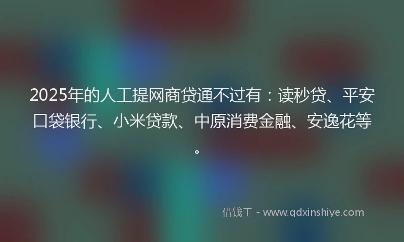 2025年的人工提网商贷通不过有：读秒贷、平安口袋银行、小米贷款、中原消费金融、安逸花等。