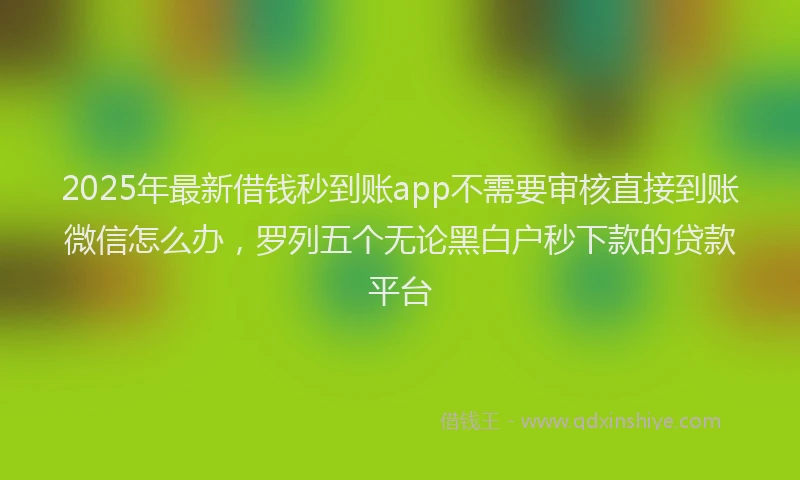 2025年最新借钱秒到账app不需要审核直接到账微信怎么办，罗列五个无论黑白户秒下款的贷款平台