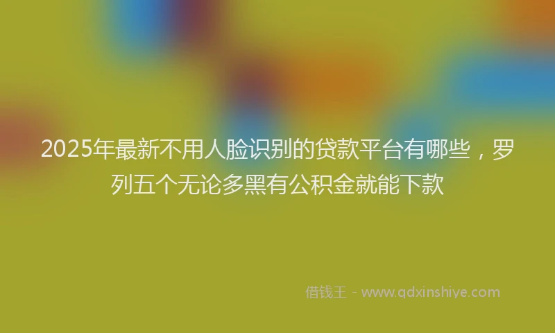 2025年最新不用人脸识别的贷款平台有哪些，罗列五个无论多黑有公积金就能下款