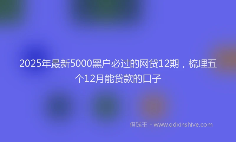 2025年最新5000黑户必过的网贷12期，梳理五个12月能贷款的口子
