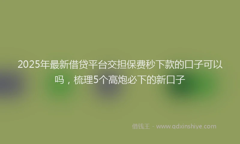 2025年最新借贷平台交担保费秒下款的口子可以吗，梳理5个高炮必下的新口子