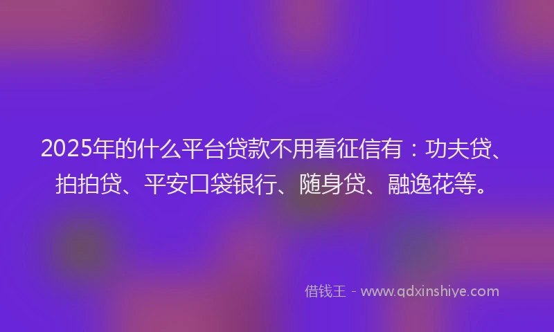 2025年的什么平台贷款不用看征信有：功夫贷、拍拍贷、平安口袋银行、随身贷、融逸花等。