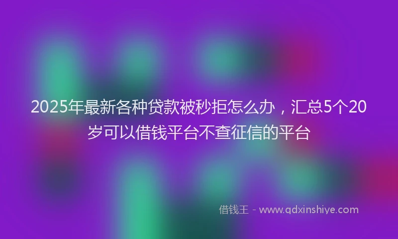 2025年最新各种贷款被秒拒怎么办，汇总5个20岁可以借钱平台不查征信的平台