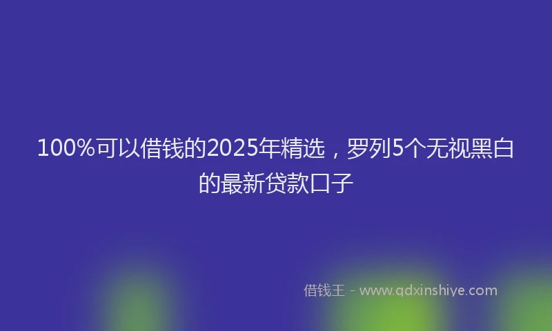 100%可以借钱的2025年精选，罗列5个无视黑白的最新贷款口子