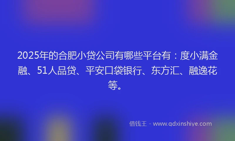 2025年的合肥小贷公司有哪些平台有：度小满金融、51人品贷、平安口袋银行、东方汇、融逸花等。