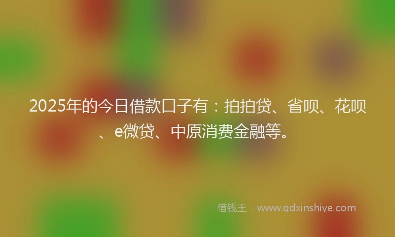 2025年的今日借款口子有：拍拍贷、省呗、花呗、e微贷、中原消费金融等。