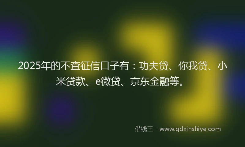 2025年的不查征信口子有：功夫贷、你我贷、小米贷款、e微贷、京东金融等。