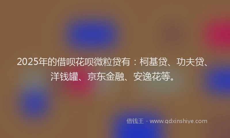 2025年的借呗花呗微粒贷有：柯基贷、功夫贷、洋钱罐、京东金融、安逸花等。