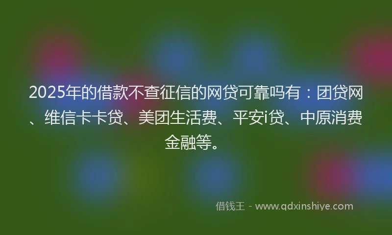 2025年的借款不查征信的网贷可靠吗有：团贷网、维信卡卡贷、美团生活费、平安i贷、中原消费金融等。