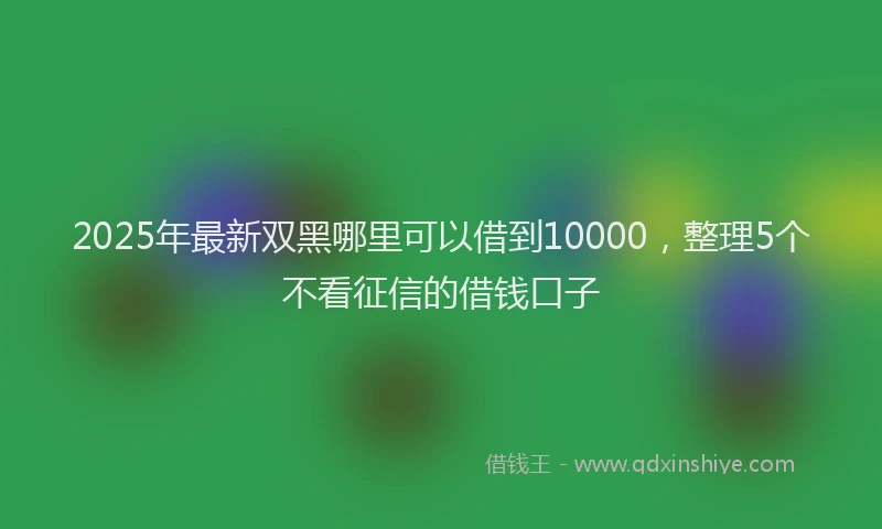 2025年最新双黑哪里可以借到10000，整理5个不看征信的借钱口子
