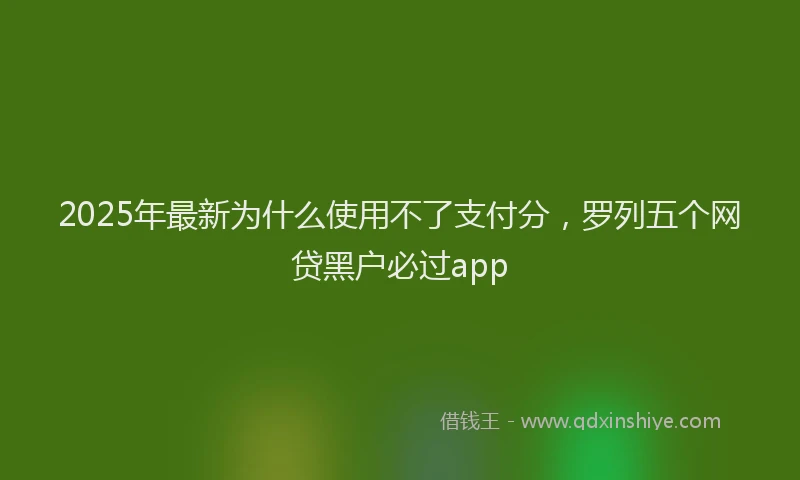 2025年最新为什么使用不了支付分，罗列五个网贷黑户必过app
