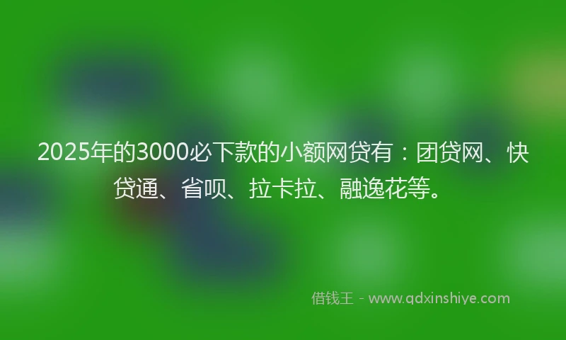 2025年的3000必下款的小额网贷有：团贷网、快贷通、省呗、拉卡拉、融逸花等。