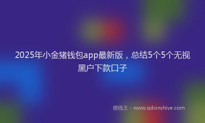 2025年小金猪钱包app最新版，总结5个5个无视黑户下款口子