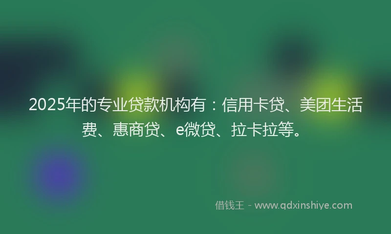 2025年的专业贷款机构有：信用卡贷、美团生活费、惠商贷、e微贷、拉卡拉等。
