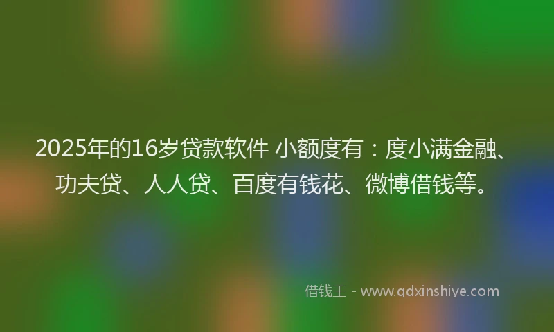2025年的16岁贷款软件 小额度有：度小满金融、功夫贷、人人贷、百度有钱花、微博借钱等。