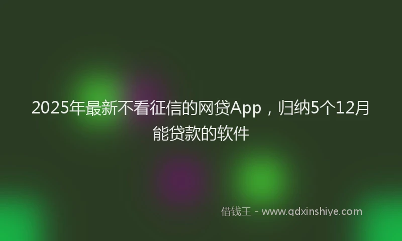2025年最新不看征信的网贷App，归纳5个12月能贷款的软件