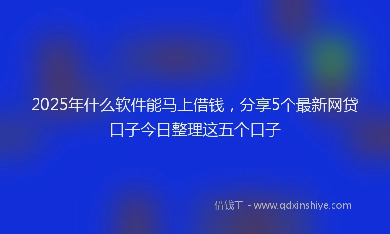 2025年什么软件能马上借钱，分享5个最新网贷口子今日整理这五个口子