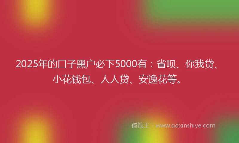 2025年的口子黑户必下5000有：省呗、你我贷、小花钱包、人人贷、安逸花等。