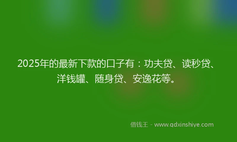 2025年的最新下款的口子有：功夫贷、读秒贷、洋钱罐、随身贷、安逸花等。