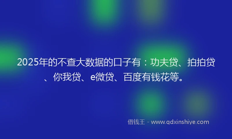 2025年的不查大数据的口子有：功夫贷、拍拍贷、你我贷、e微贷、百度有钱花等。