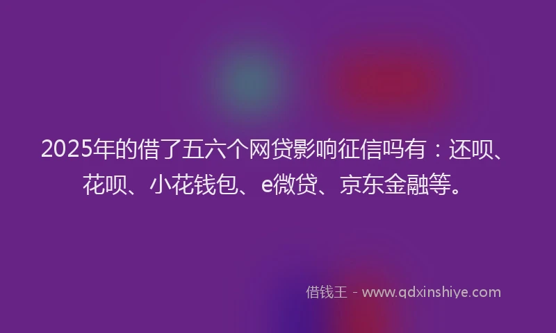 2025年的借了五六个网贷影响征信吗有：还呗、花呗、小花钱包、e微贷、京东金融等。