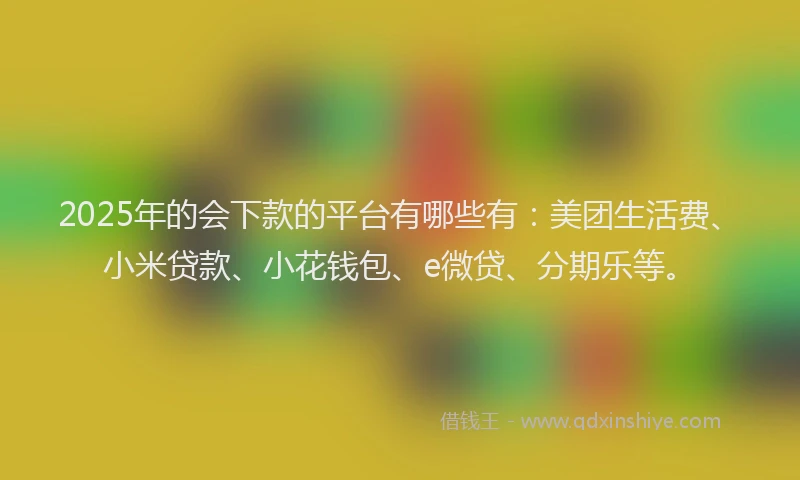 2025年的会下款的平台有哪些有：美团生活费、小米贷款、小花钱包、e微贷、分期乐等。