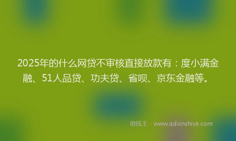 2025年的什么网贷不审核直接放款有：度小满金融、51人品贷、功夫贷、省呗、京东金融等。