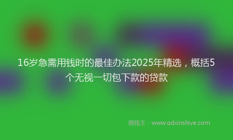 16岁急需用钱时的最佳办法2025年精选，概括5个无视一切包下款的贷款