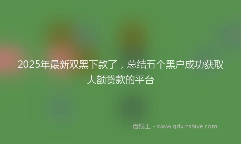 2025年最新双黑下款了，总结五个黑户成功获取大额贷款的平台
