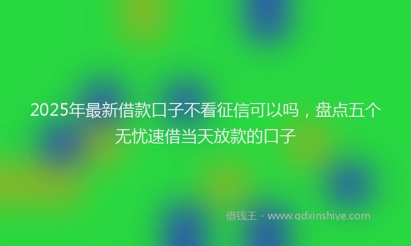 2025年最新借款口子不看征信可以吗，盘点五个无忧速借当天放款的口子